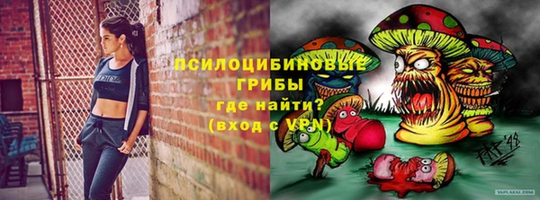 соль ск Алексин