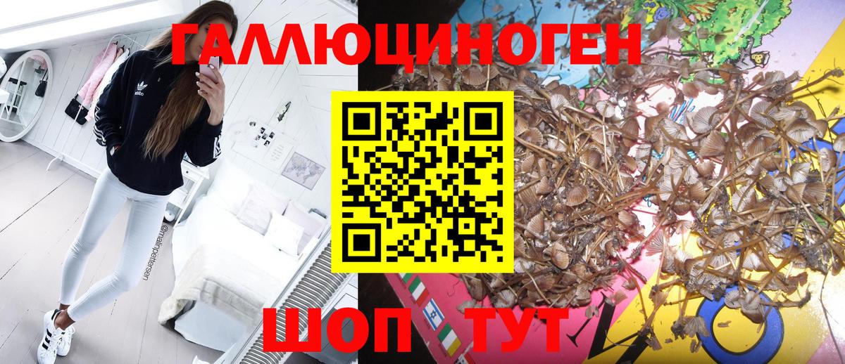 Псилоцибиновые грибы прущие грибы  Вход с VPN  Нефтекамск 
