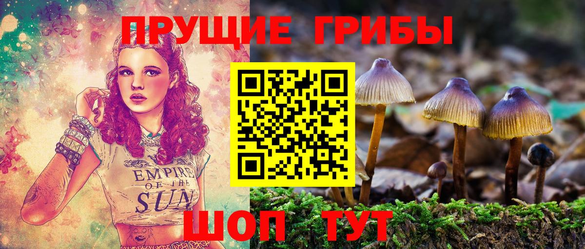 Галлюциногенные грибы Psilocybe Нефтекамск