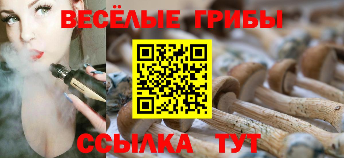 Галлюциногенные грибы Нефтекамск